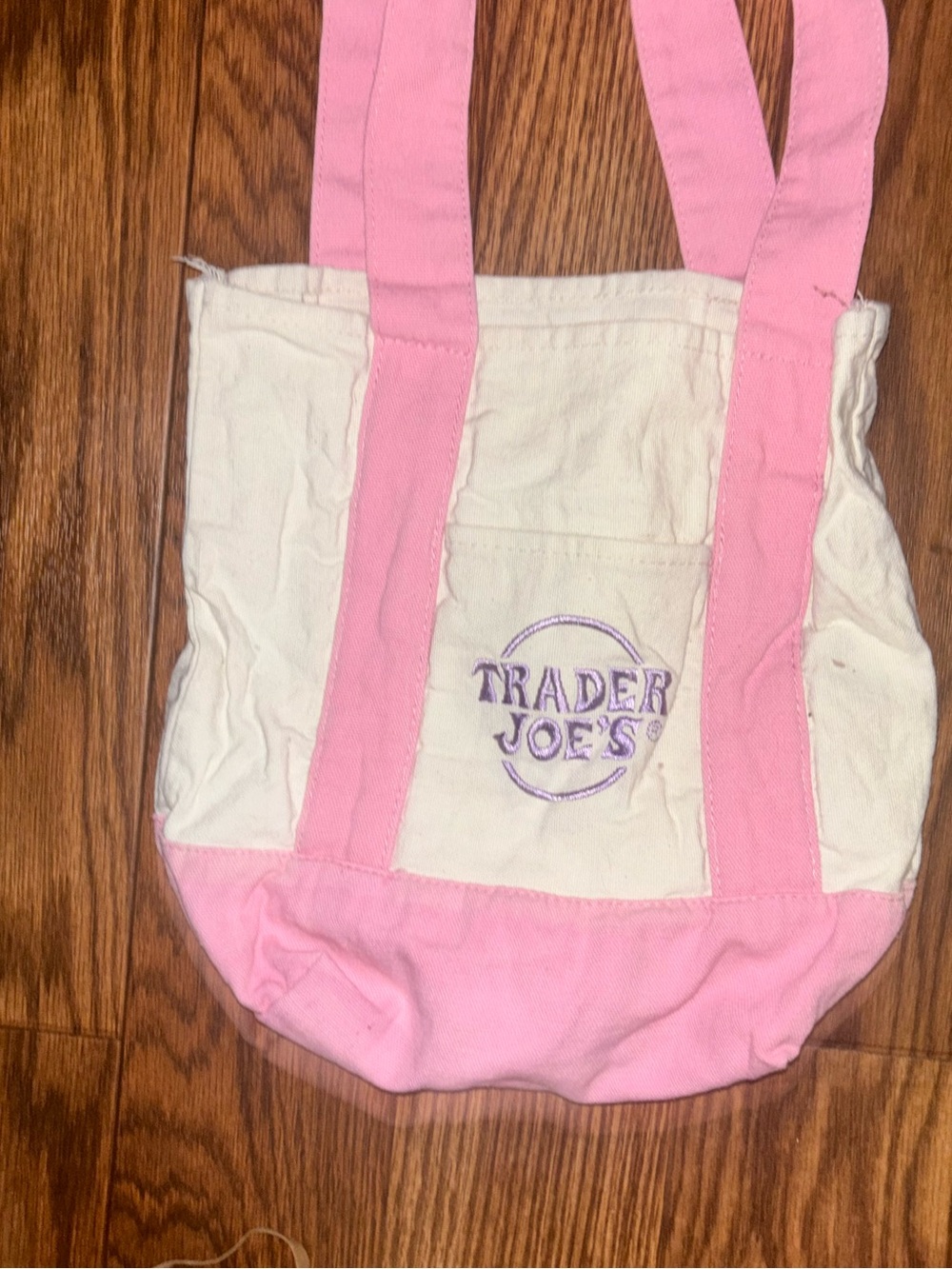 Trader Joe's Mini Pastel Canvas Tote Bag